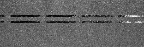 Коньково-карнизная черепица Docke Premium, черника купить в Черкесске