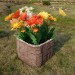 Цветник КАНЬОН купить в Черкесске